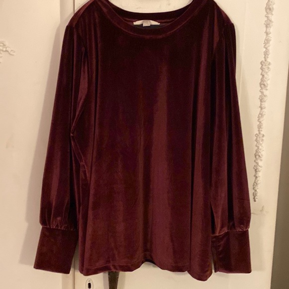 LOFT Tops - Burgundy stretch velvet top. SZ 16-18  NWT